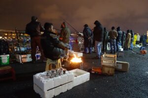 patagonia pullover deal