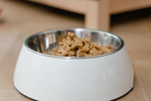free holistic choice