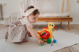 fisher-price wood deal